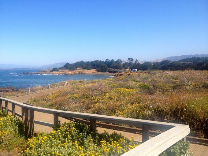 Cambriaboardwalkview