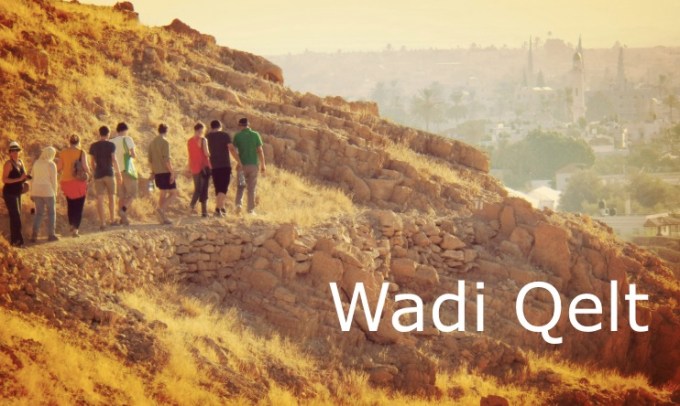 Screen Shot 2018-07-02 at 15.49.02.jpg